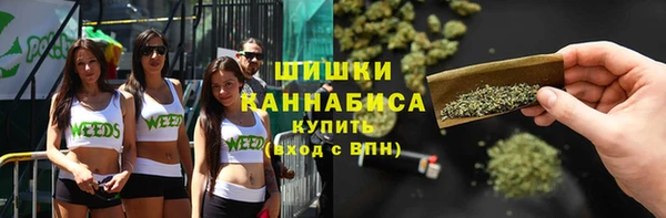 эйфоретик Новокубанск