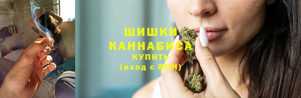 эйфоретик Новокубанск