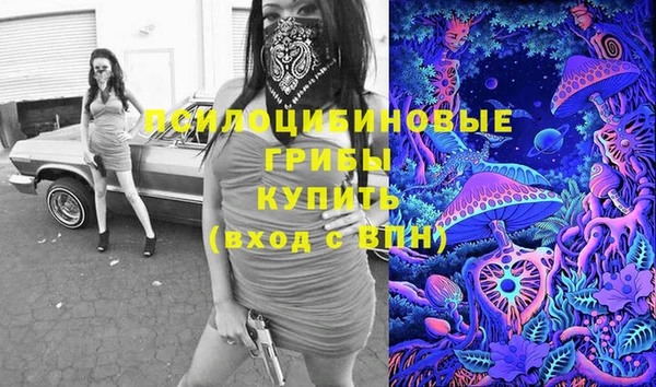 эйфоретик Новокубанск