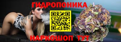 дурь Берёзовский