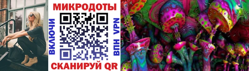 Галлюциногенные грибы Cubensis  Кизилюрт 
