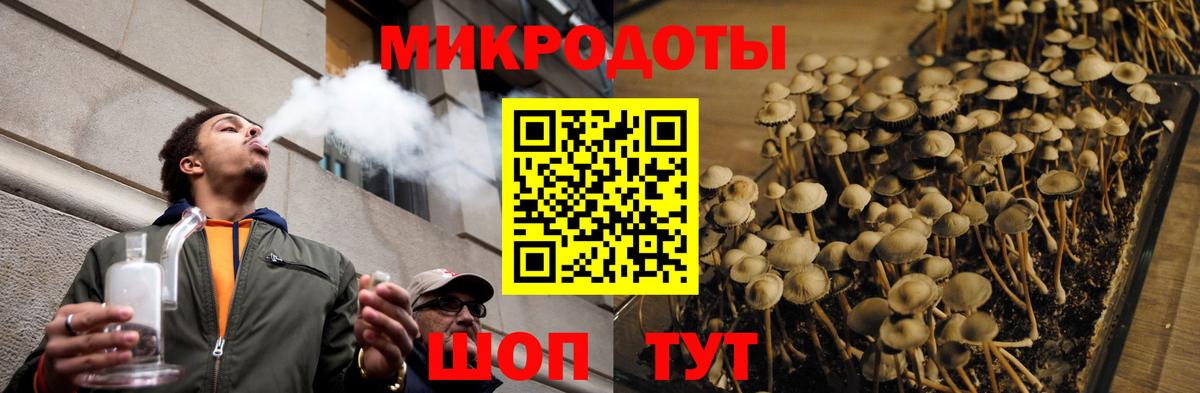 Кизилюрт  цена   Галлюциногенные грибы Psilocybe  Вход с VPN  Псилоцибиновые грибы Psilocybine cubensis 